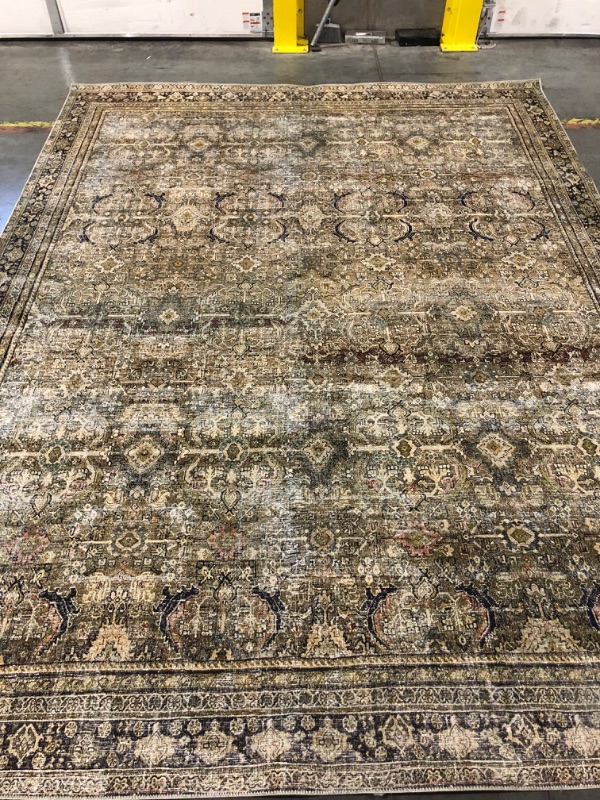 Photo 2 of (READ FULL POST) Loloi Layla 9'-0" x 12'-0" Area Rug in Olive/Charcoal - Thick Area Rug, Soft Area Rug with, Vintage Inspired Distressed Design, Low Pile, Non-Shedding, Easy Clean, Durable Living Room Rug
