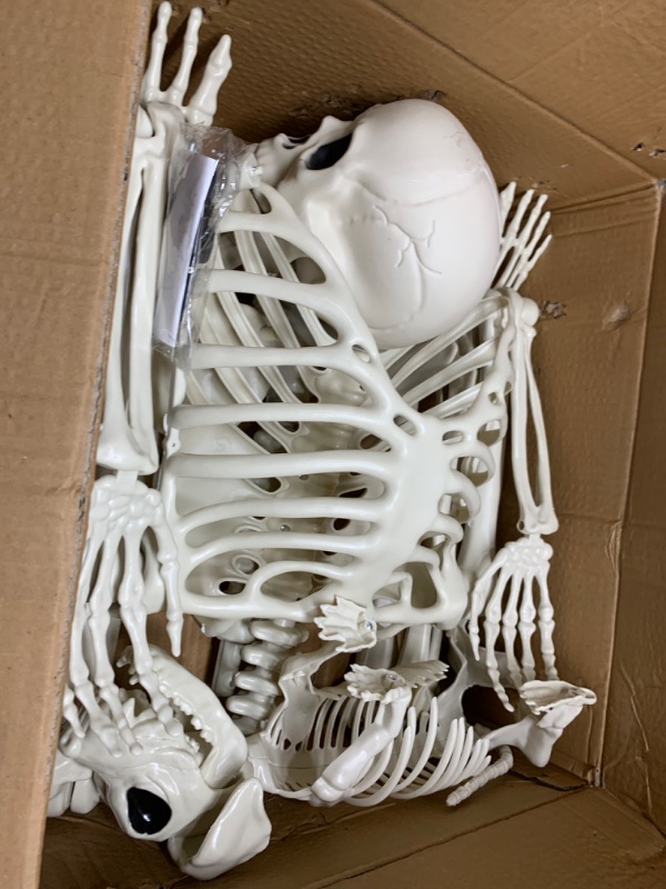 Photo 2 of ***SEE NOTES*** 5.4Ft Posable Halloween Skeleton, Full Body Life Size Skeleton with Dog Skeleton for Halloween Spooky Party Props Decor