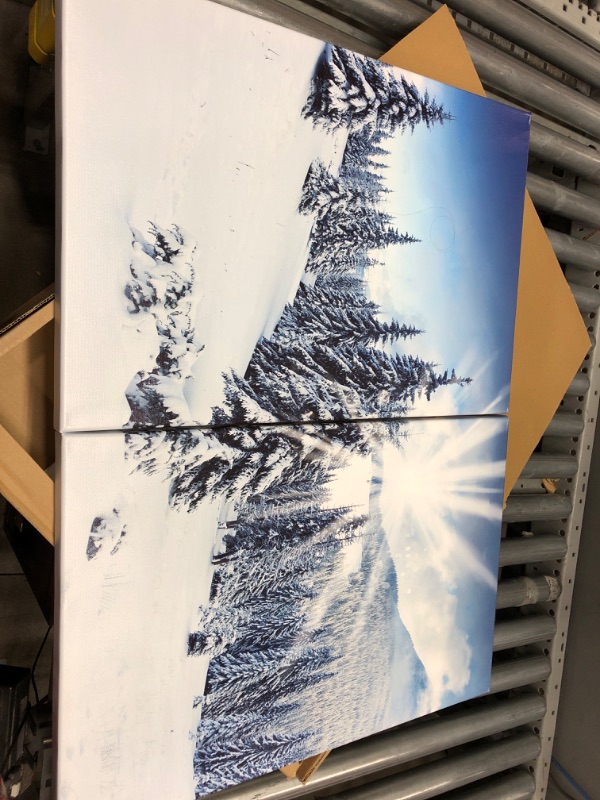 Photo 1 of **MISSING 1 PICTURE, ONLY 2) Nachic Wall Snow Mountain Wall Art Winter Tree Forest at Sunrise Picture Canvas Prints Nature Landscape Paintings Prints Modern Artwork for Living Room Home Decoration (Medium)