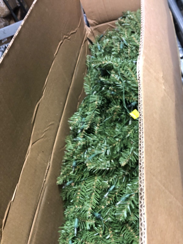 Photo 1 of National Tree Company Pre-Lit Artificial Full Christmas Tree, Green, Dunhill Fir, White Lights, Includes Stand, 6 Feet
