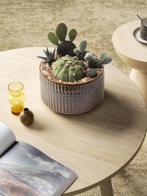 Photo 1 of (1 pot)  Succulent Pots, 6.5+8 Inch Ceramic Indoor Plant Pot with Drainage Hole, Modern Round Decorative Flower Pot, Set of 1, Reactive Glaze Black