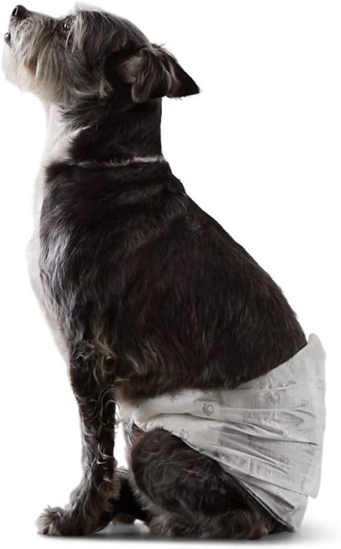 Photo 1 of Amazon Basics Male Dog Wrap, Disposable Male Dog Diapers, Small, Pack of 30, White
