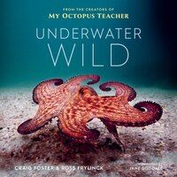 Photo 1 of  My Octopus Teacher's Extraordinary World