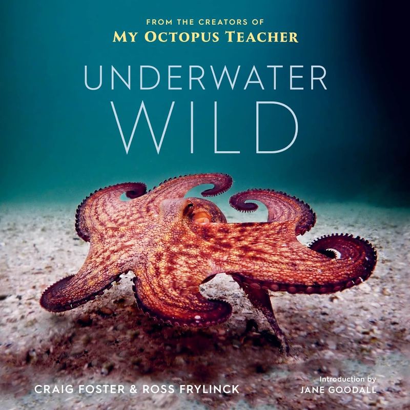 Photo 1 of ***cover has wear to it*** Underwater Wild: My Octopus Teacher's Extraordinary World