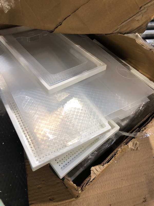 Photo 1 of 12 Pack Shoe Storage Box