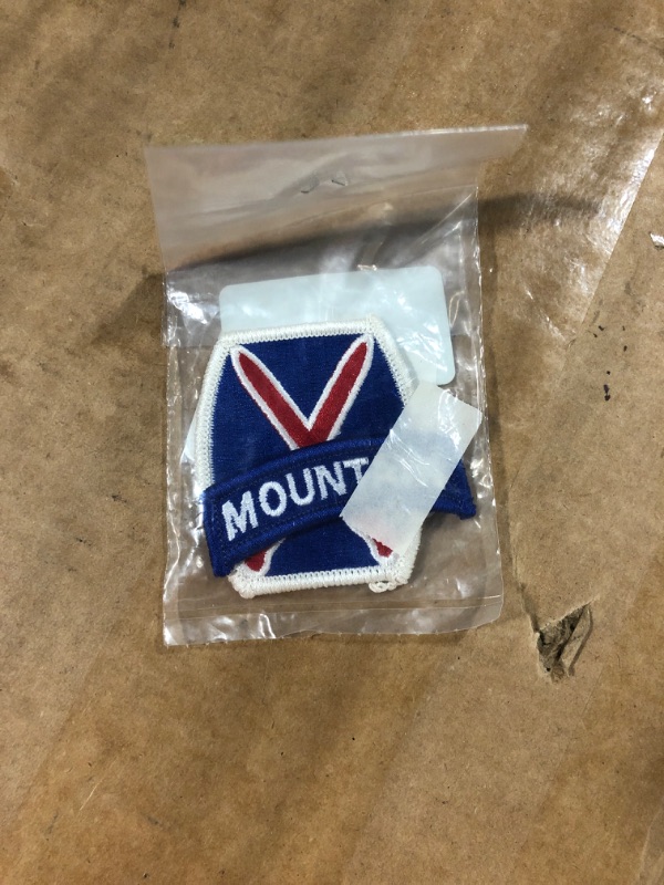 Photo 2 of 10th Mountain Division Patch Color AGSU