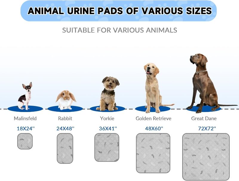 Photo 3 of (READ FULL POST) Sunheir Washable Pee Pads for Dogs - 2-Pack Thick Heavy-Absorbency Reusable Pee Pads Prevent Leakage Non-Slip, Waterproof Pet Training Pads for Puppy Playpen, Crate, Whelping Box, Potty Training  18x24 Inch (Pack of 2)

