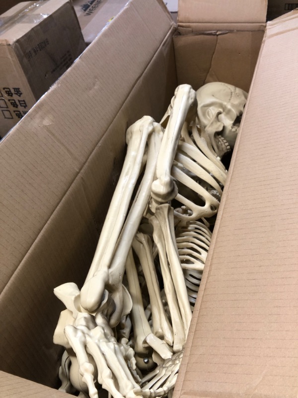 Photo 2 of ***(PARTS ONLY/ NON FUNCTIONAL/ NO RETURNS OR REFUNDS) ***
QPosable Life Size Human Skeleton Family Set of 2- Adult (5' 4") & Children (2')- Halloween Prop Indoor Outdoor Decorations & Bending Articulated Bones