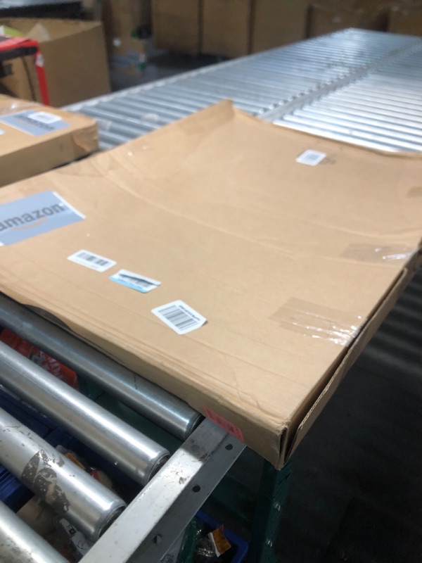 Photo 1 of Cardboard People Branch Life Size Cardboard Cutout Standup - Trolls World Tour (2020 Film)