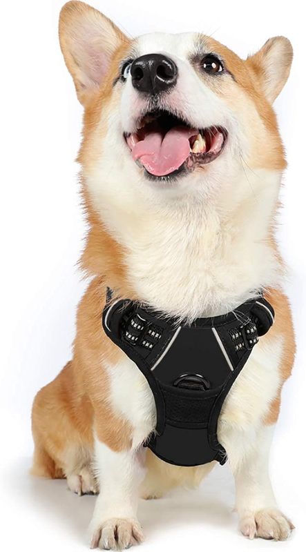 Photo 1 of 
rabbitgoo Dog Harness, No-Pull Pet Harness with 2 Leash Clips, Adjustable Soft Padded Dog Vest, Reflective No-Choke Pet Oxford Vest with Easy Control Handle, ------Medium 