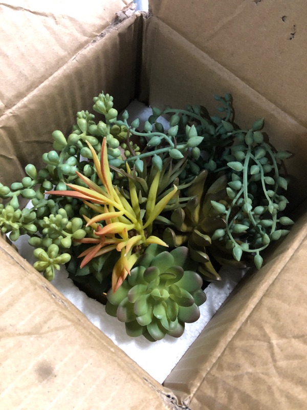 Photo 1 of Casktcom 8" Large Artificial Succulents in Gold Pot, Faux Succulents with Ceramic Gold Planter, Faux Plant Gold Lifelike Succulent Planter for Desk Shelf Office