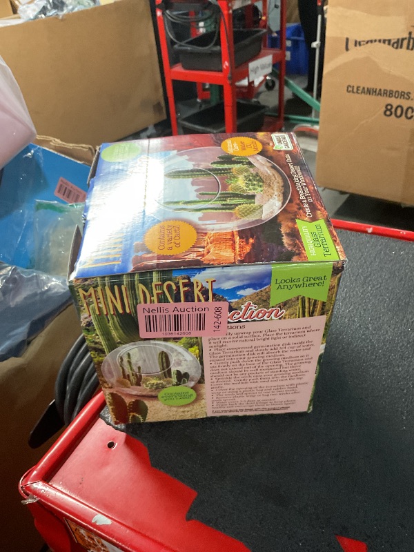 Photo 1 of Cactus Succulent Glass Terrarium Starter Kit from Unique Gardener - Grow Your Own Indoor Desert Terrariums - Includes Live Cacti Plants and Easy Setup with Complete Terrarium Supplies