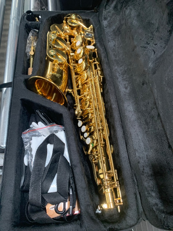 Photo 1 of Aisiweier Gold E Flat Alto Saxophone Brass Engraved Eb E-Flat Natural White Shell Button Wind Instrument with Case Belt Brush