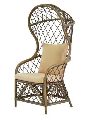 Photo 1 of A&B Home Umbrella Rattan Accent Chair