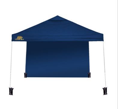 Photo 1 of (FAIR) Golden Bear coronado 10'x10' Straight-Leg Canopy with Wall