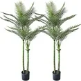 Photo 1 of Artificial Palm Tree 6FT with 2 Heads Large Fake Palm Plant with 27 Trunks Perfect Tall Faux Tree in Pot for Indoor Outdoor House Home Office Garden Modern Decor Housewarming Gift (2Pack)