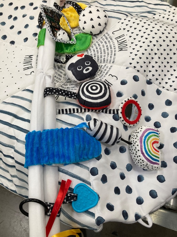 Photo 1 of *** SOME SMALL DIRT SPOTS ON RAINBOW PILLOW, DAMAGED BOX RIPPED/TORN*** Sassy Stages STEM Developmental Play Gym, Sensory Tummy Time Activity Play Mat w/Built-in Instructions, Ultra Plush & Machine Washable Playmat for Babies & Toddlers, 0+ Months
