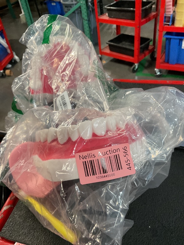 Photo 1 of Teeth Mouth Model 6X Enlarged with Metal Hinge, Complete Set Teeth and Removable Tongue, PVC Speech Therapy Tool, Includes Toothbrush, Ideal for Brushing Teaching Dental Model and Language Education