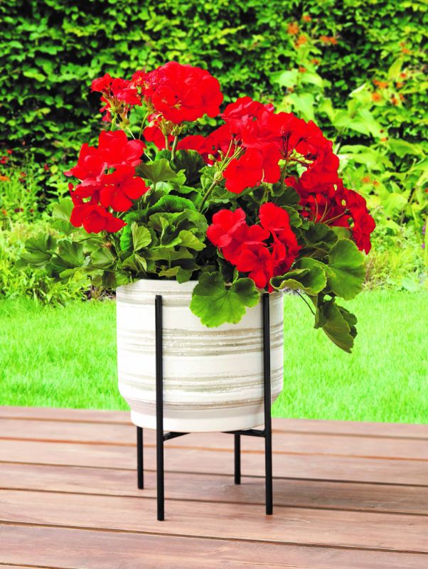 Photo 1 of Mainstays 8 Inch Black Metal Versatile Plant Stand
