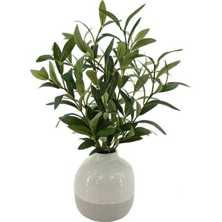 Photo 1 of Better Homes & Gardens 14in Indoor Artificial Olive Plant in 2-Tone Color Ceramic Vase. Weight 1 Lb
