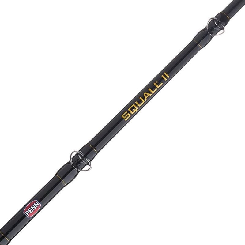 Photo 1 of PENN 7' Squall II Lever Drag Fishing Rod  