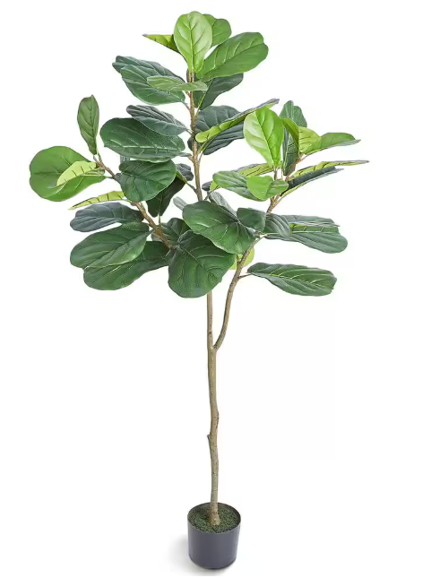 Photo 1 of 6 ft. Artificial Fiddle Leaf Fig Tree Secure PE Material and Anti-Tip Tilt Protection Low-Maintenance Faux Plant