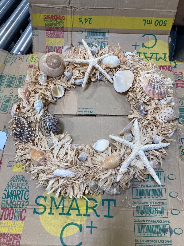 Photo 2 of Starfish and Nautilus Seashell Wreath