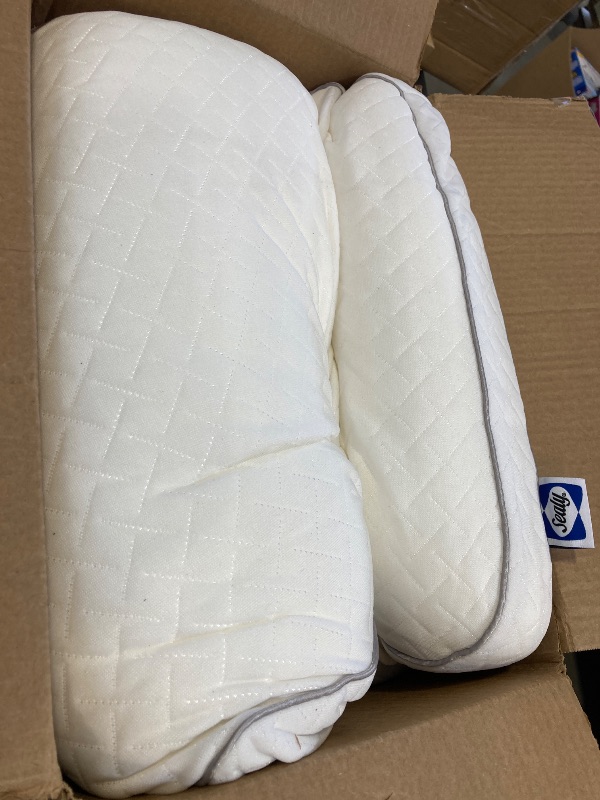 Photo 2 of Sealy Essentials Pillow