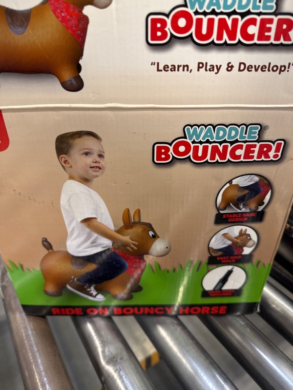 Photo 3 of Flybar Waddle Zoomer Bouncer