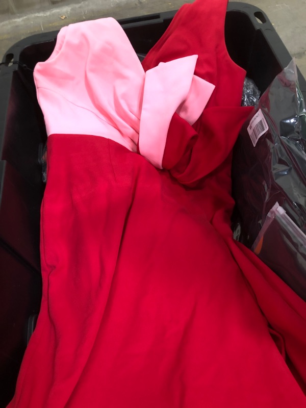 Photo 1 of Adrianna Papell Women's Two-Tone Evening Gown, Pink/Red, 10