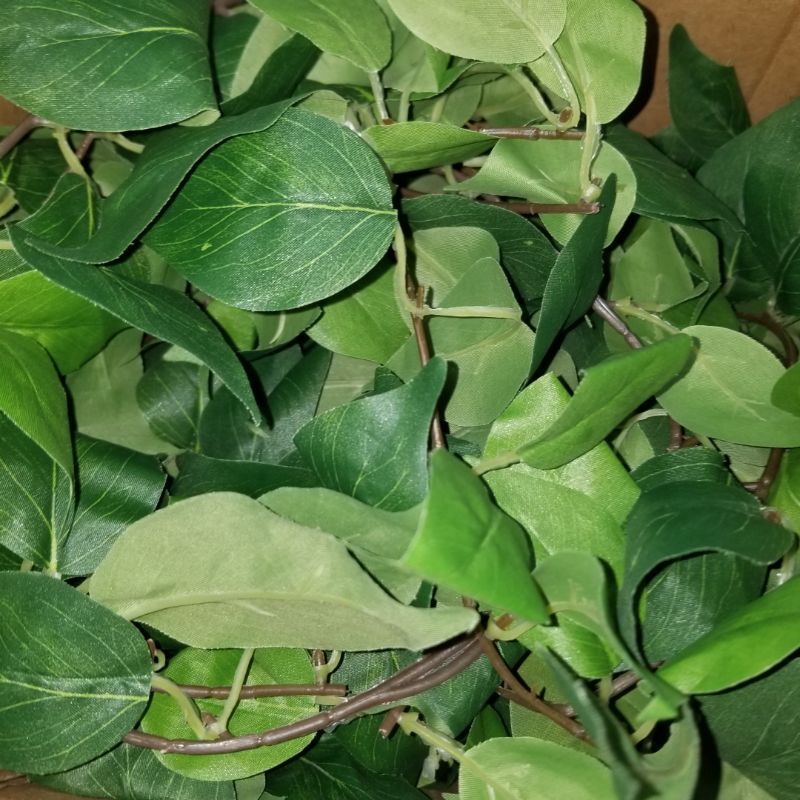 Photo 1 of ***FINAL SALE NO RETURNS***
FAKE IVY GARLAND THAT HAS BEEN CUT INTO MISC PIECES, MISSING LOTS OF LEAVES. 
