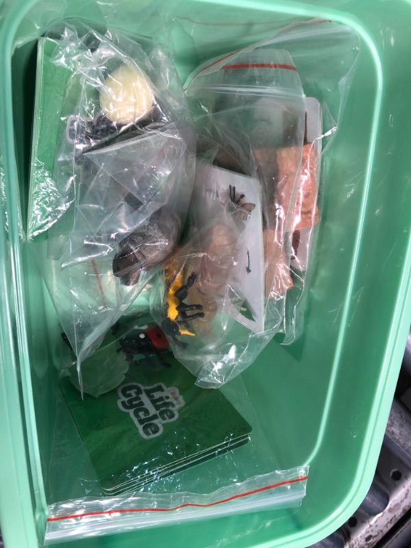 Photo 1 of ***NON REFUNDABLE, PARTS ONLY, MISSING PIECES***
Life Cycle Science Kit Montessori Realistic Figurine, Kids Animal Matching Game with Frog, Ladybug and More Includes 32-Piece, Fun Learning Education Toys Stocking Stuffers for Children 3 4 5 6 7 8