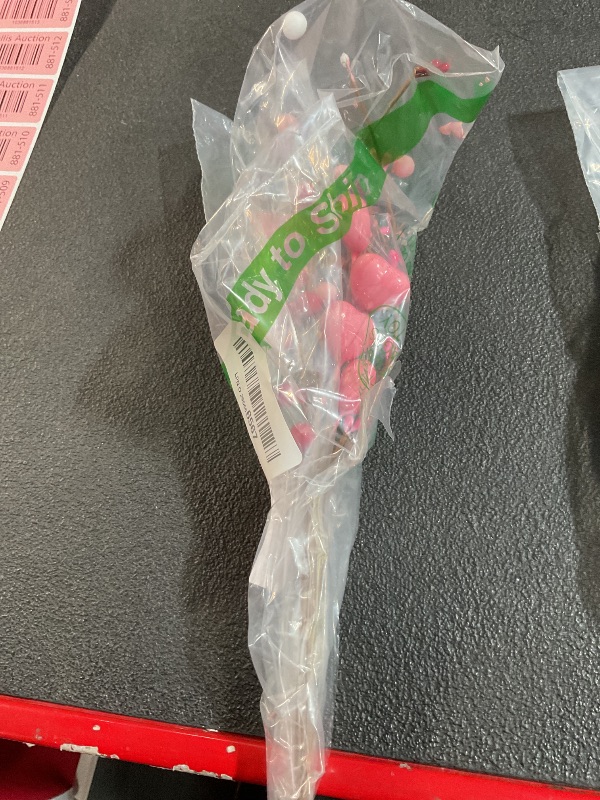Photo 1 of ***PARTS ONLY***
J'FLORU Valentine's Day Gifts Valentines Day Decorations 24 Pack Pink Heart Shaped Berry Picks with Red Berries for Valentines Day Wedding Candlelight Dinner Anniversary