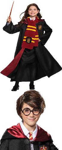 Photo 1 of 2 Item Seasonal & Party Supplies Bundle | Adult Harry Potter Gryffindor Scarf + Harry Potter 2pc Scar Tattoo and Glasses Halloween Costume