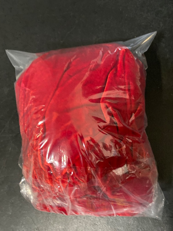 Photo 1 of One Size Fits Most Adult Velvet Red Cape Halloween Costume