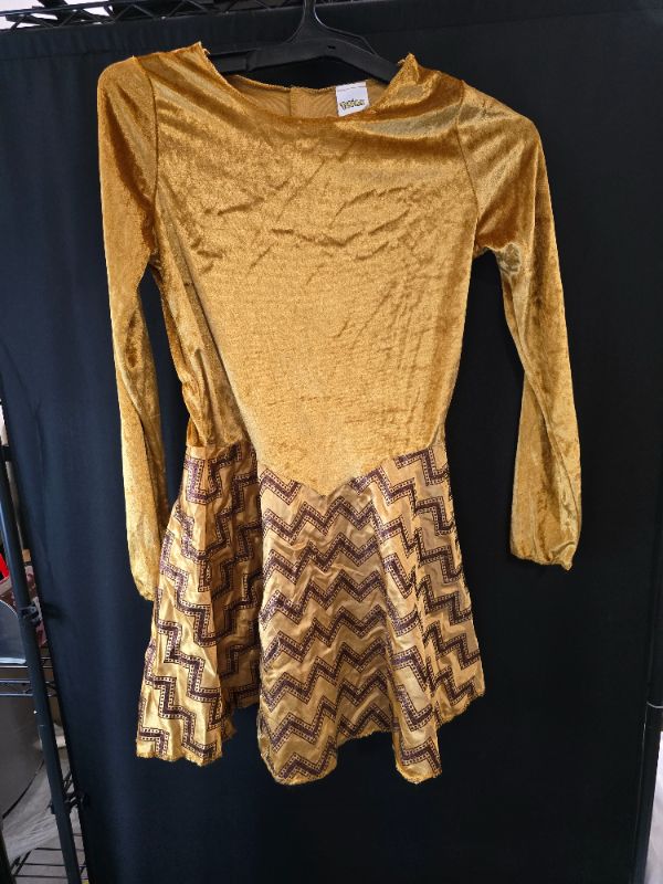 Photo 1 of L 10-12 Eevee Deluxe Girls Costume - DRESS ONLY