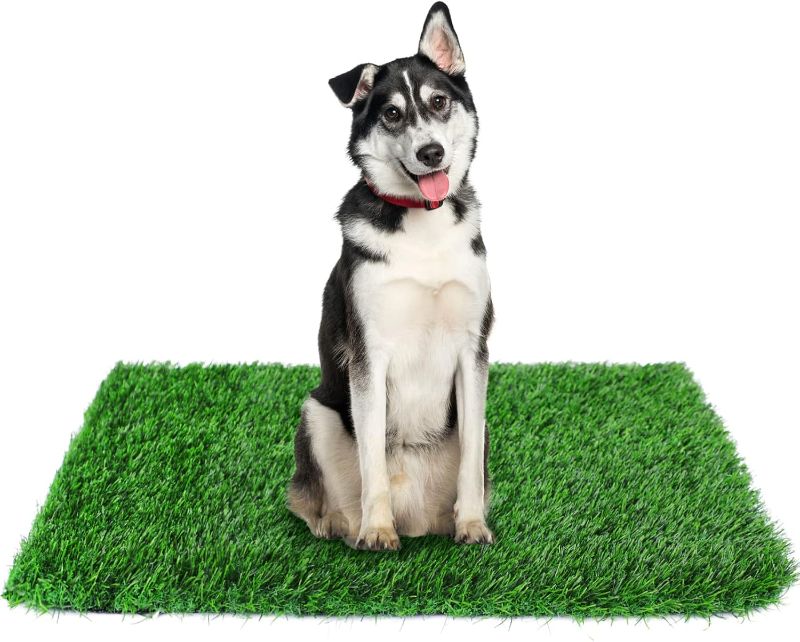Photo 1 of GLOBREEN 34" x 23" Fake Grass Pee Pad for Dogs Potty Training Turf Pets Mat - Indoor Outdoor Use