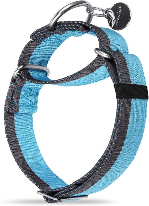 Photo 1 of Martingale Collar 1.5 Inch Wide 1200D Extra Strong Nylon Dog Collar, No Pull Heavy Duty Dog Collar with 2-Color Stripe for Medium to XLarge Dogs (Medium, 1 1/2 Inch Wide, Baby Blue & Grey)