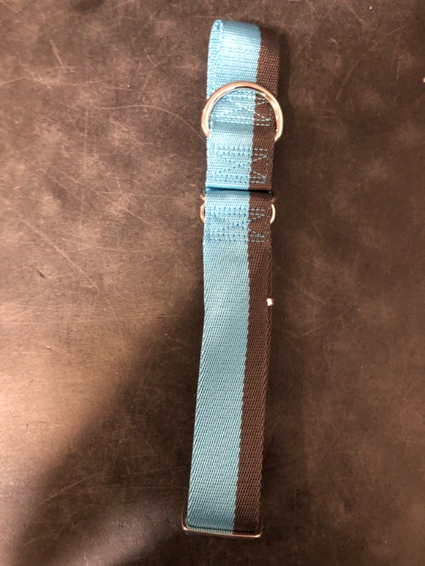 Photo 1 of Martingale Collar 1.5 Inch Wide 1200D Extra Strong Nylon Dog Collar, No Pull Heavy Duty Dog Collar with 2-Color Stripe for Medium to XLarge Dogs (Medium, 1 1/2 Inch Wide, Baby Blue & Grey)