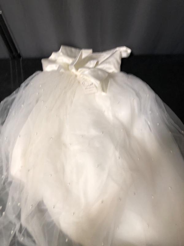 Photo 1 of Size 12 Tulle Dress Princess Ankle Length