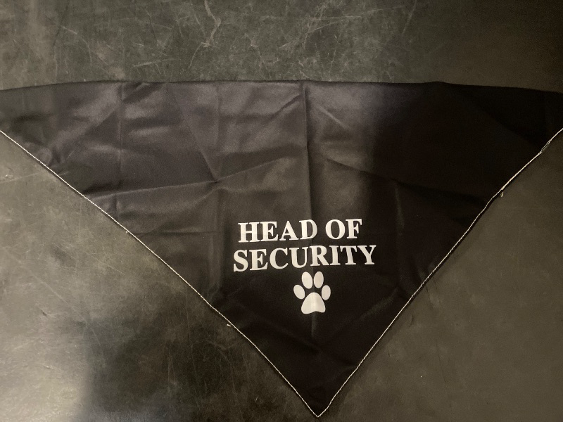 Photo 1 of 1 Piece Head of Security Dog Bandana Dog Parent Gift Security Dog Bandana (Head of Security Black)