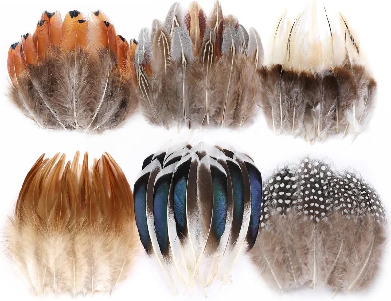 Photo 1 of Natural Pheasant Craft Feathers - 240 pcs 6 Style Mixed Feathers for Dream Catcher Supplies,Jewelry,Hats and Jewelry Accessories (Natural)