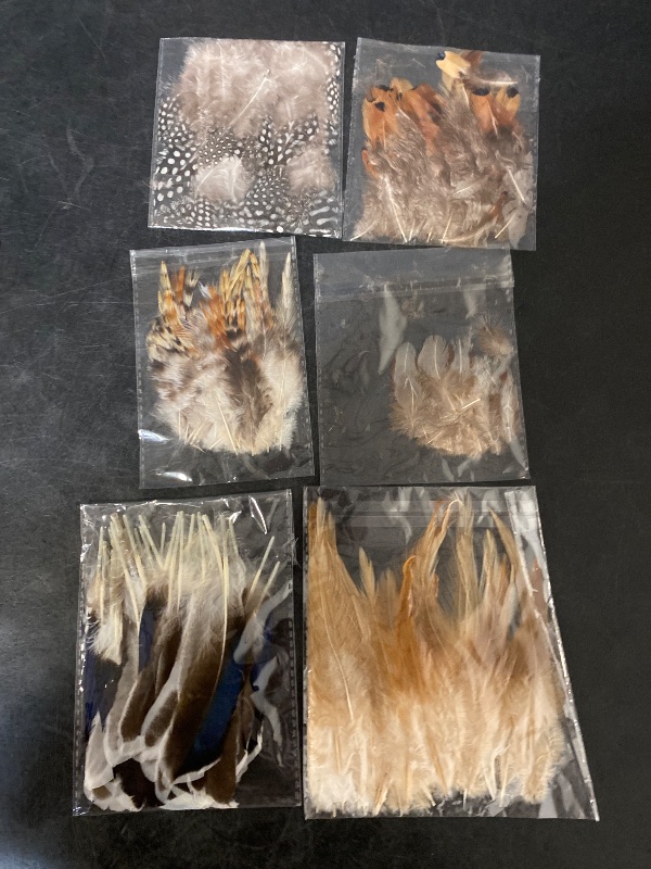 Photo 1 of Natural Pheasant Craft Feathers - 240 pcs 6 Style Mixed Feathers for Dream Catcher Supplies,Jewelry,Hats and Jewelry Accessories (Natural)