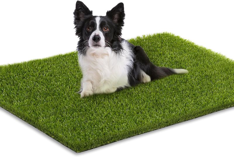 Photo 1 of Artificial Grass, 36 x 24 Inches Fake Grass for Dogs, Reusable Dog Grass Pee Pads with Drainage Holes for Dog Potty Training Outdoor Indoor Door Mat Decoration