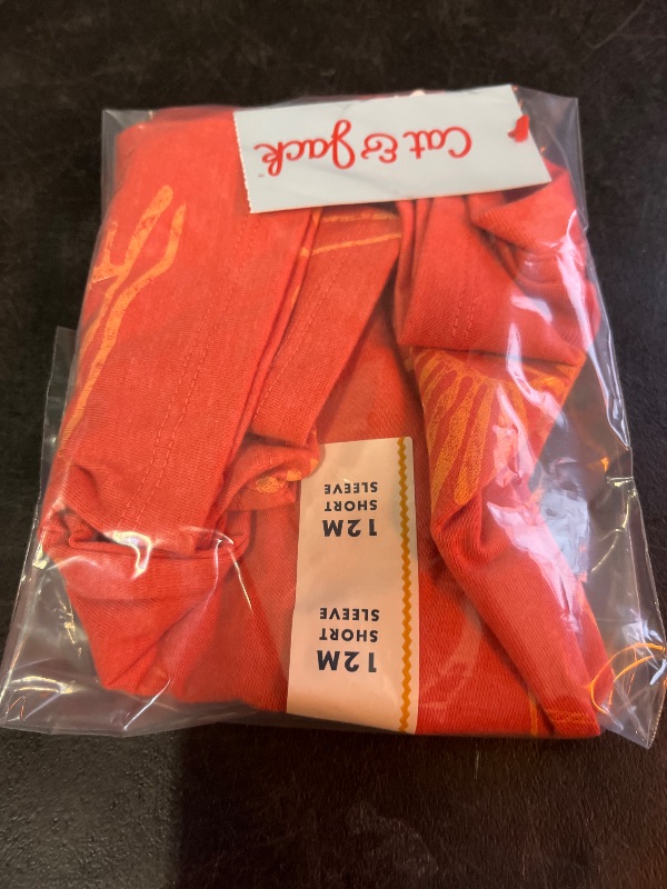 Photo 1 of 12M Toddler Boys' Surf Twill Patch Oversized T-Shirt - Cat & Jack™ Orange 12M