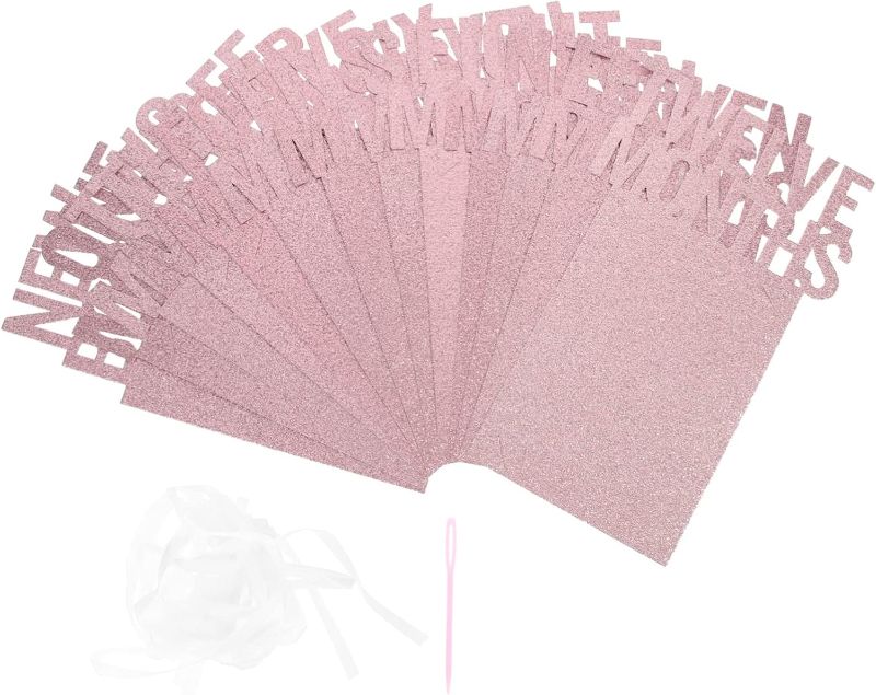 Photo 1 of 1set Photo String Garland Glitter Photograph Bunting for First Birthday Party Decoration Banner to Display Monthly and Cherished Memories