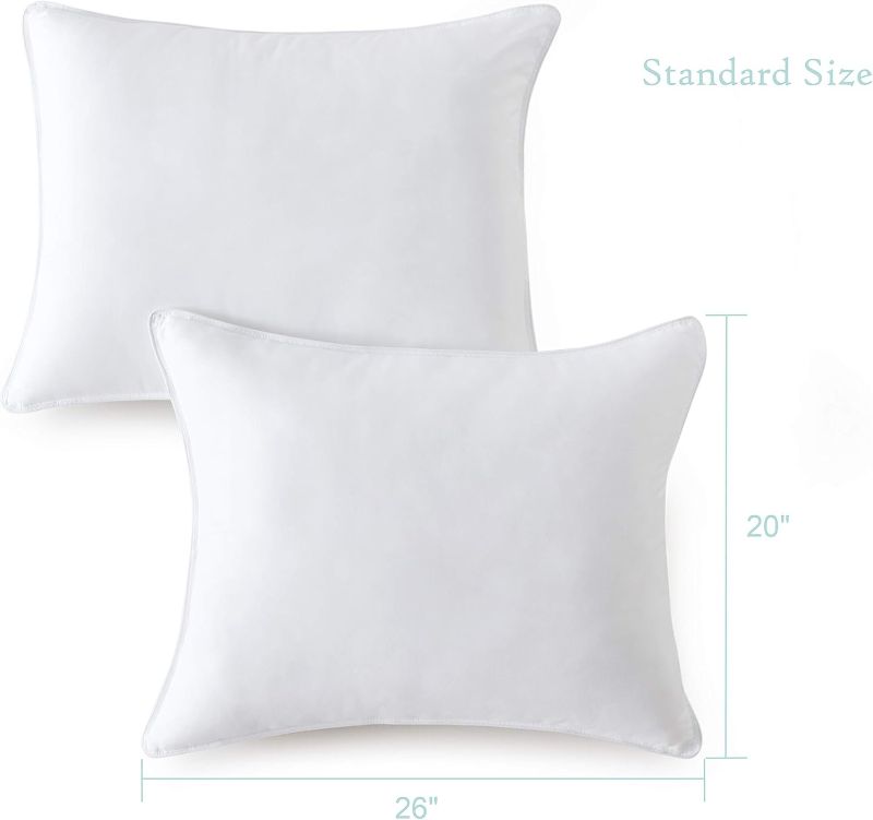 Photo 1 of Seward Park Bed Pillow Standard Size Set of 2, Shams Insert 20 x 26 inch, Down Alternative Cooling Pillows for Stomach, Side or Back Sleeper