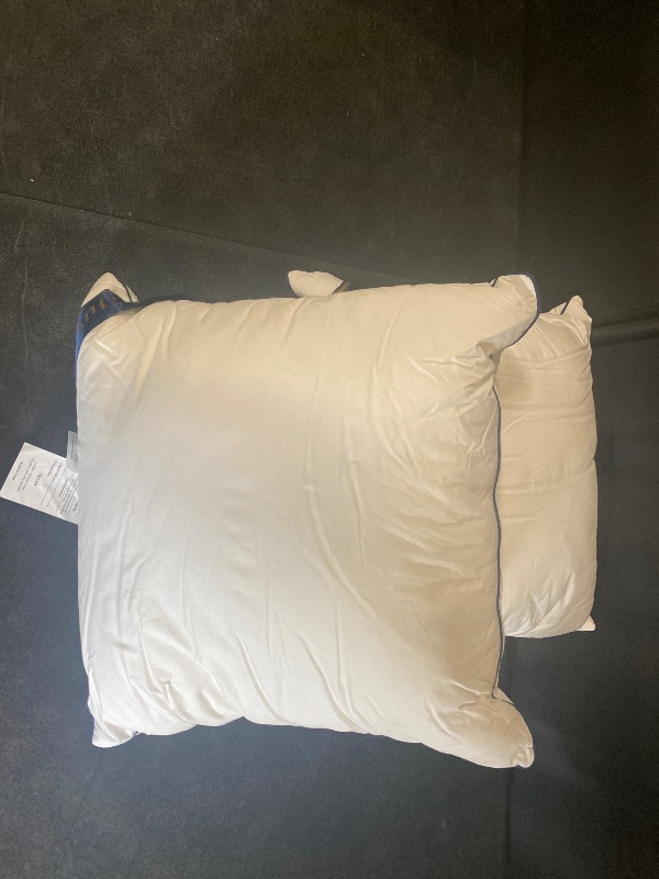 Photo 1 of Siluvia 20"x20" Pillow Inserts Set of 2 Decorative Square Square Throw 20 Pillows with 100% Cotton Cover for Sofa, Couch, and Bed - White