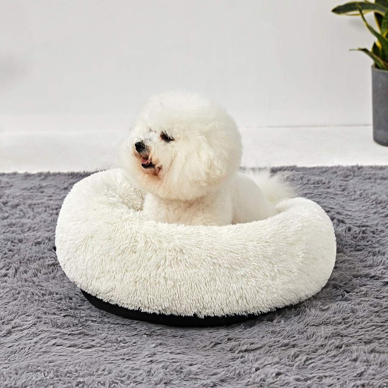 Photo 1 of Washable Dog Round Bed - Medium Donut Dog Bed, Comfy Calming Cuddler