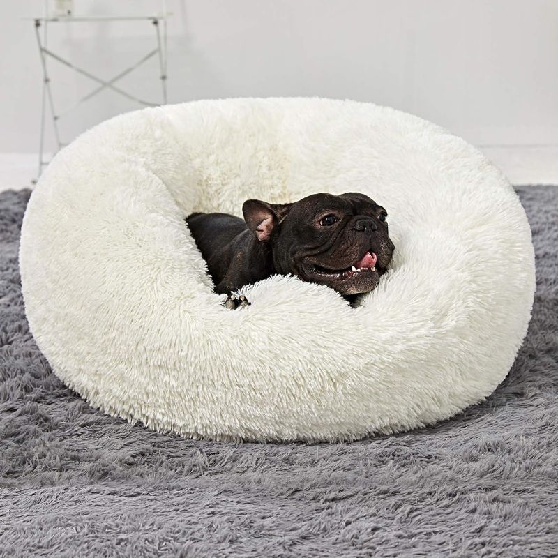Photo 1 of Washable Dog Round Bed - Medium Donut Dog Bed, Comfy Calming Cuddler